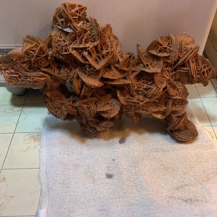砂漠の石