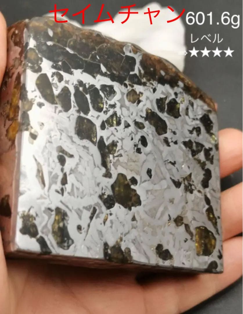 セイムチャン隕石　パラサイト隕石  601.6g ロシア産