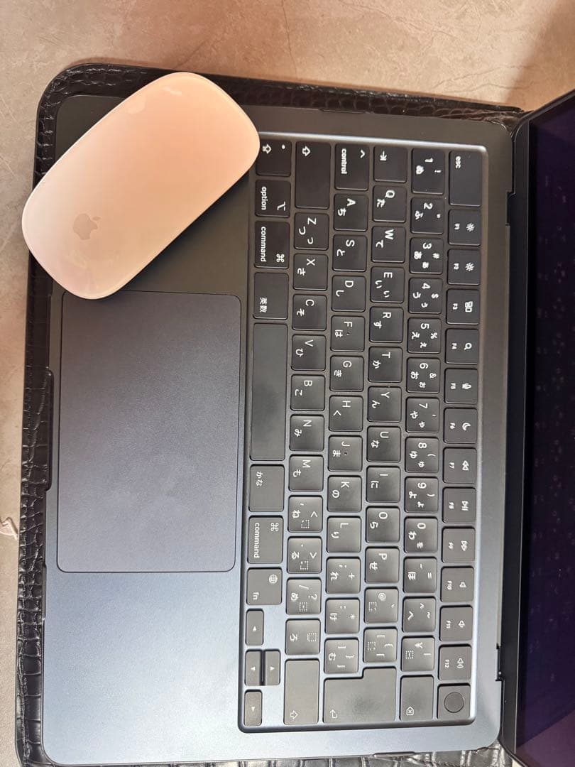 Apple MacBook Air M3 13インチ　magic mouse付き