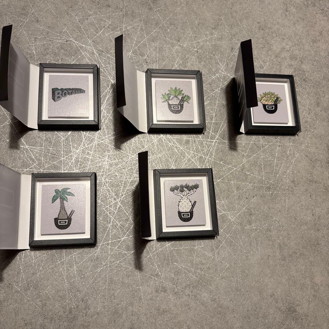 botanize マグネット