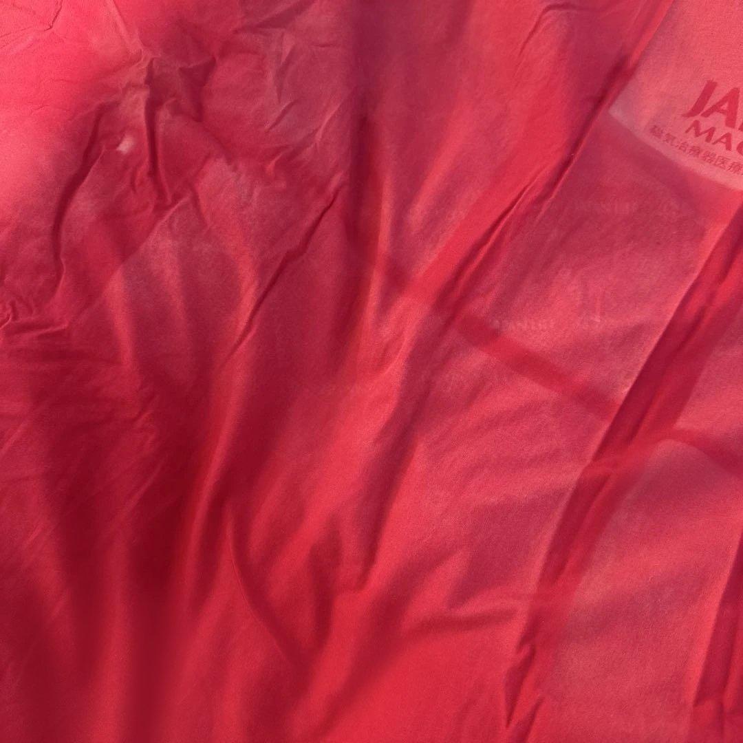 JAPAN LIFE 赤 羽毛掛け布団