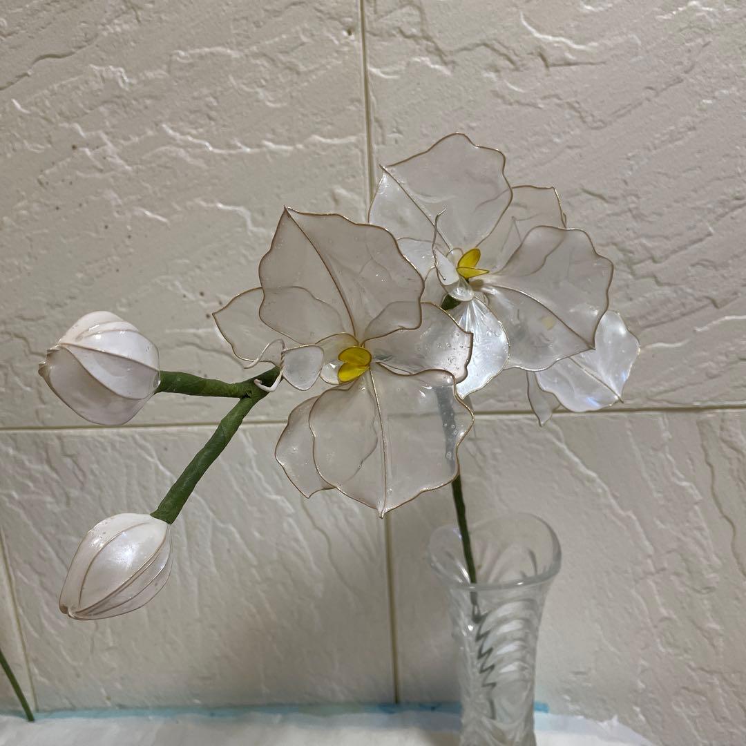 よしよし！ゆりと胡蝶蘭(夏のバカンス！)