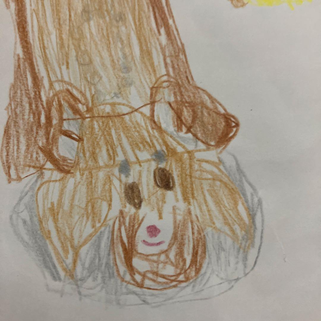 子供の作ったレッサーパンダの絵