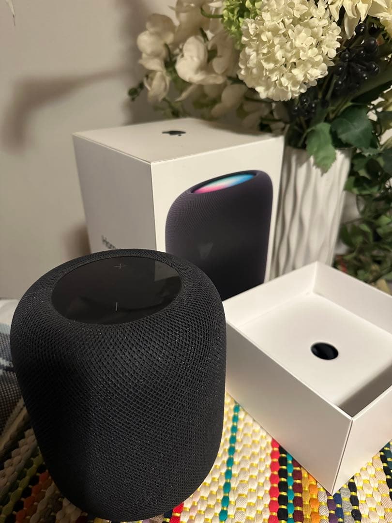 Apple Pod ブラック