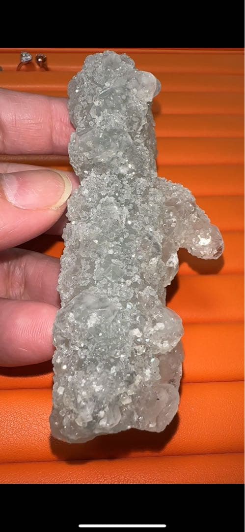 マスタークリスタル 珍品 カクタス アポフィライト カルセドニー  共生 原石