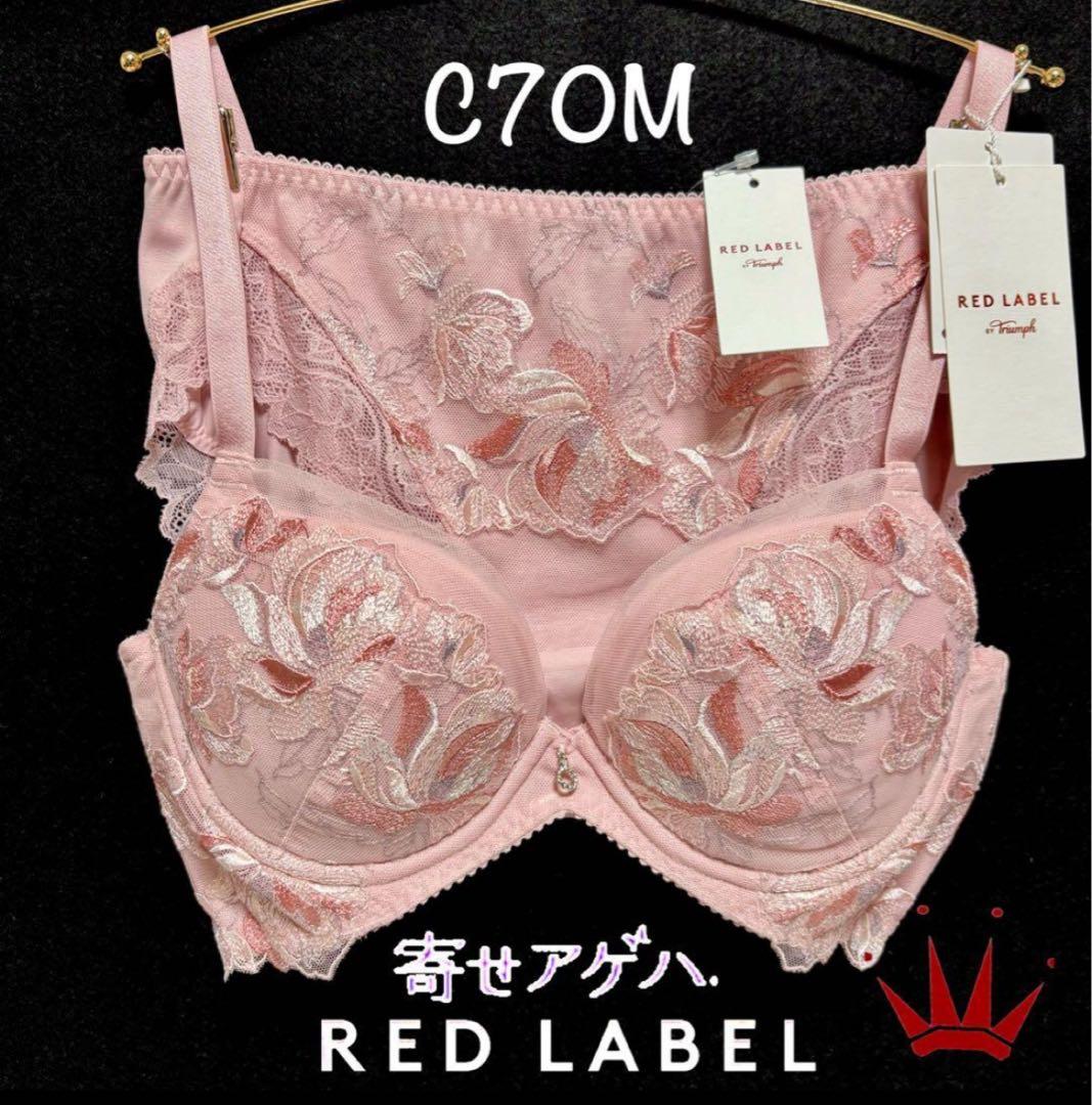 C70M トリンプ 天使のブラ スリムライン 582 ブラ＆ショーツ M023