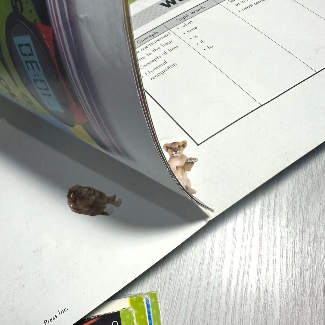 英語教材 CTP Learn To Read 1-2 24冊& CD4枚