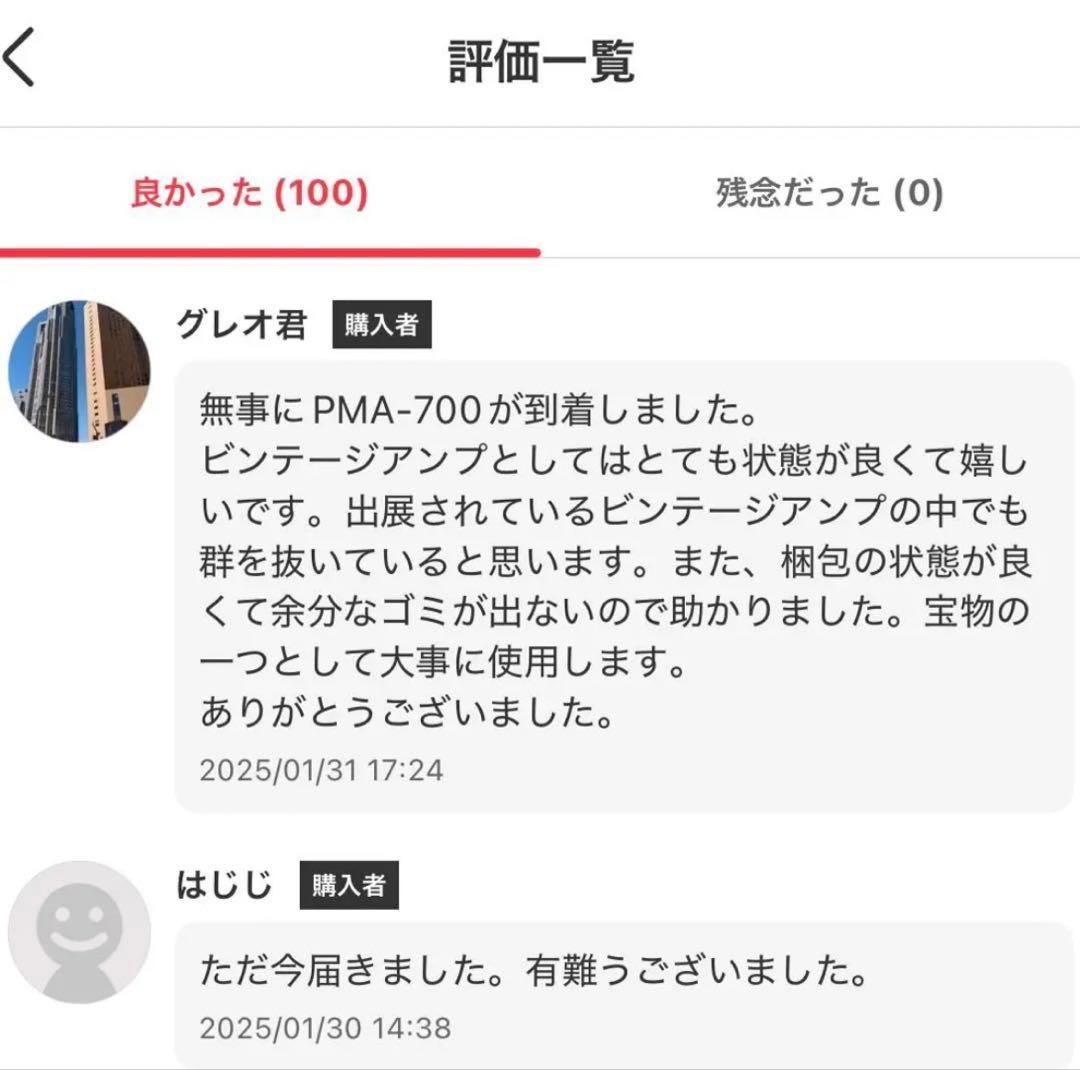 【大人気アイテム】フェルナンデス エレキギター 青 アーム付き