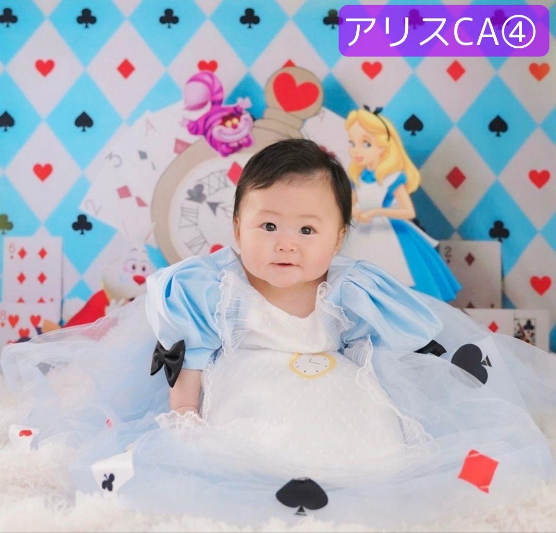 春　背景布　春CA②　ペット撮影用　トリミングチョーカー販売中　チューリップ