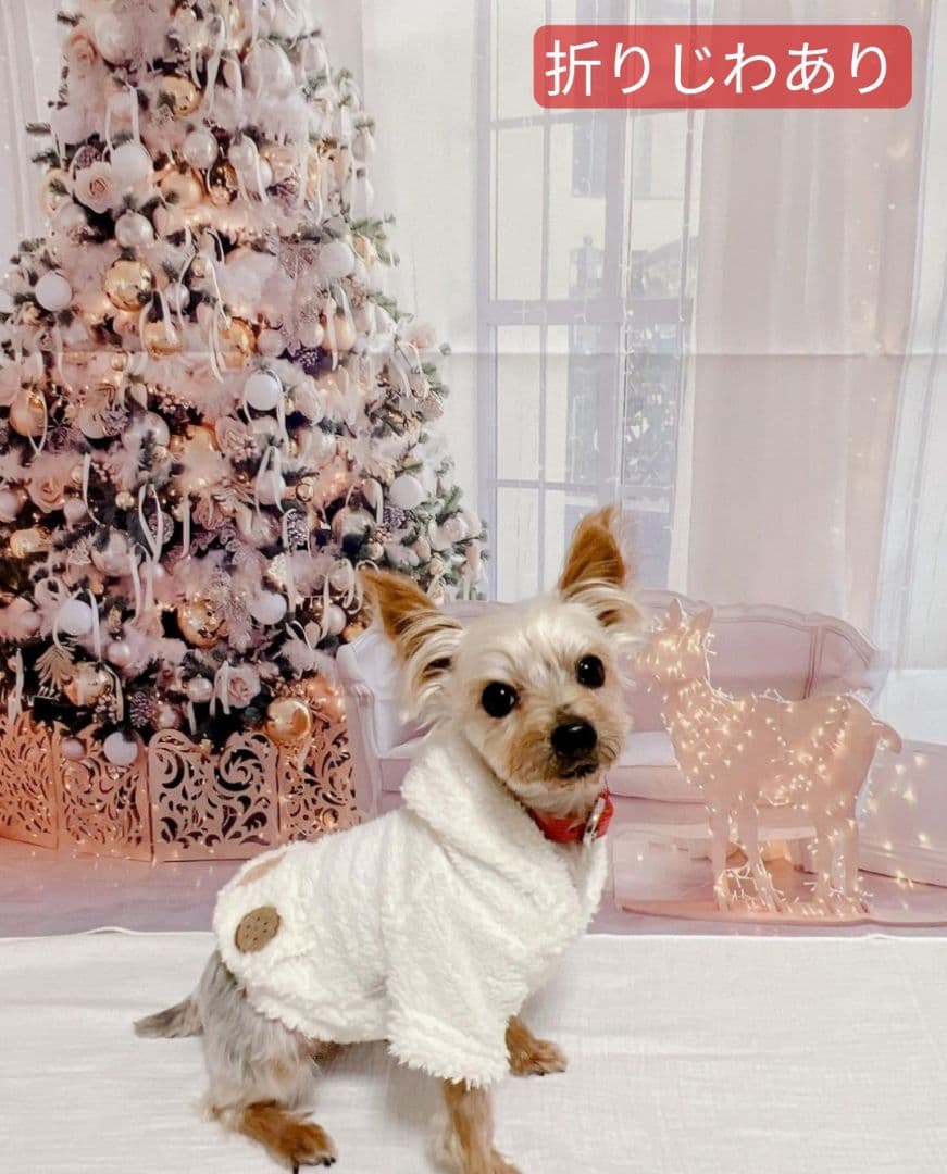 春　背景布　春CA②　ペット撮影用　トリミングチョーカー販売中　チューリップ