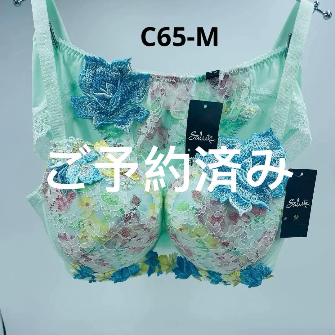 ワコール サルート 32G P-upタイプ 無邪気な少女が淑女へC65M