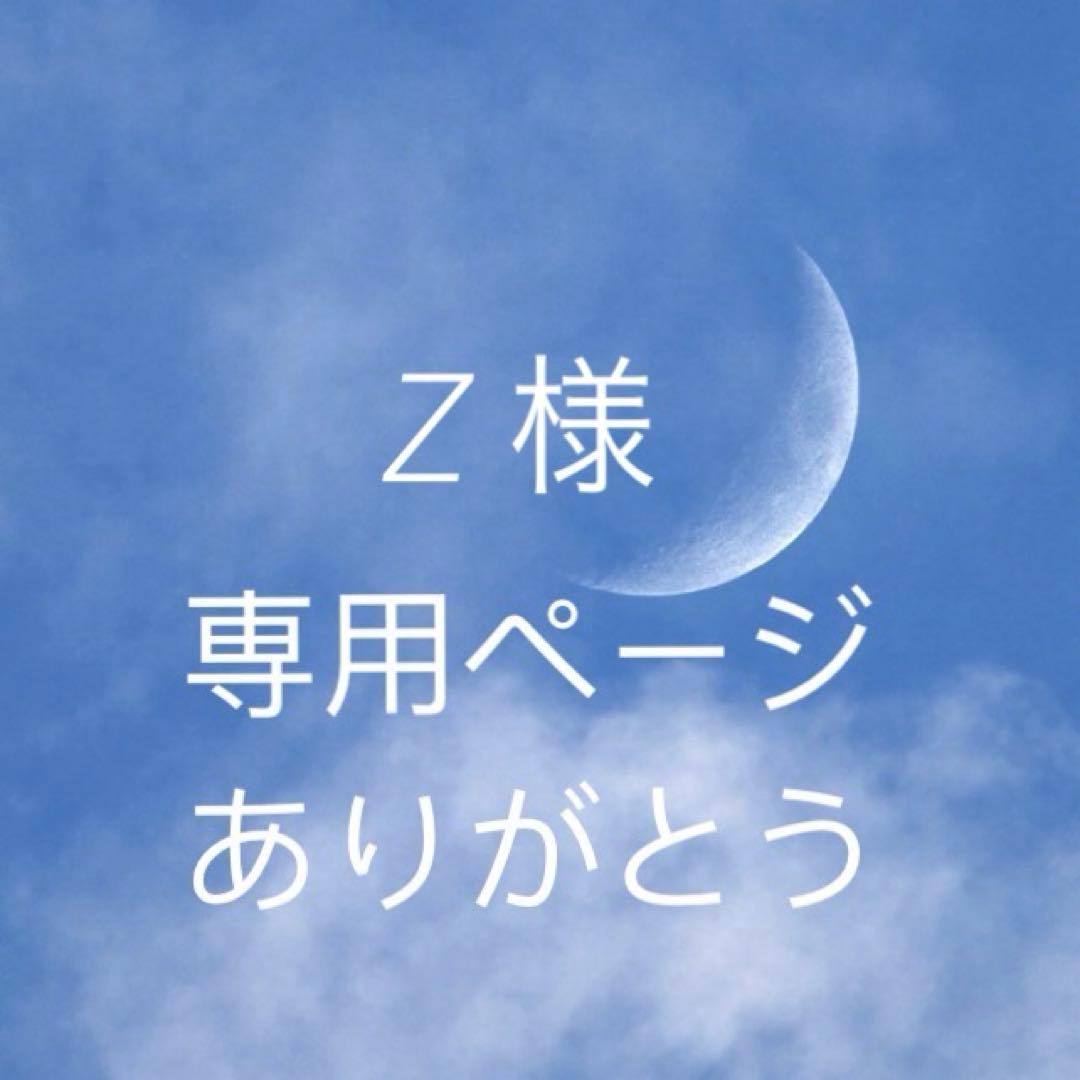 Zページ　c6b