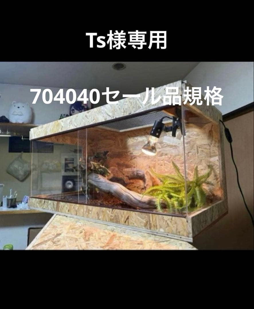 Ts　704040