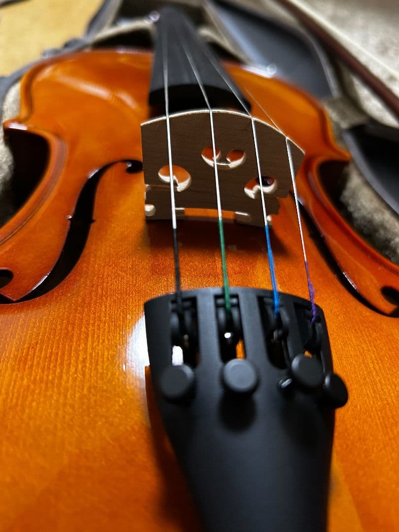 Y*o様 カルロジョルダーノ VS-1 4/4