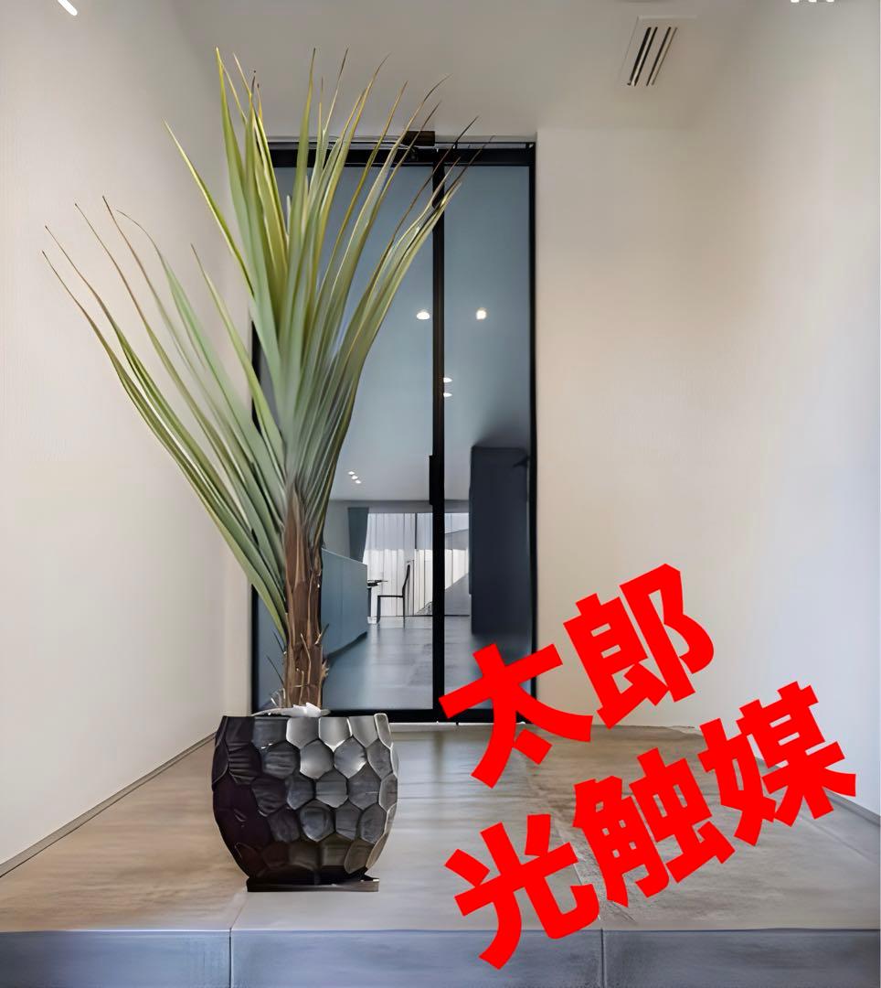 光触媒　人工観葉植物　ウォールグリーン　フェイクグリーン　アガベテナータpt