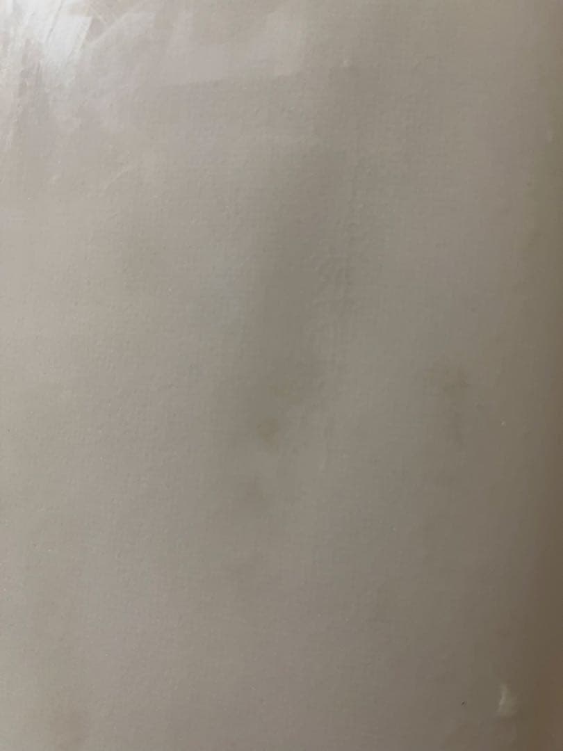 サーフィン・ボディボード Petal to the l surfboard