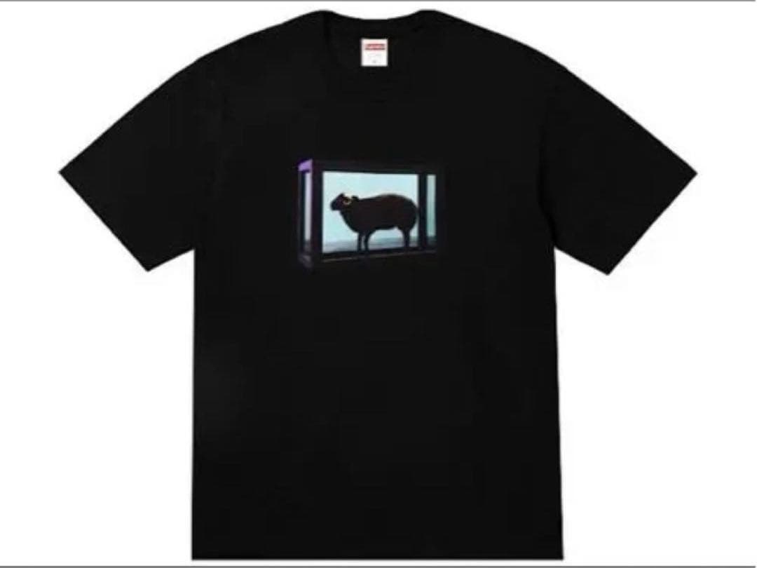 SUPREME 25SS Supreme Damien Hirst Tシャツ