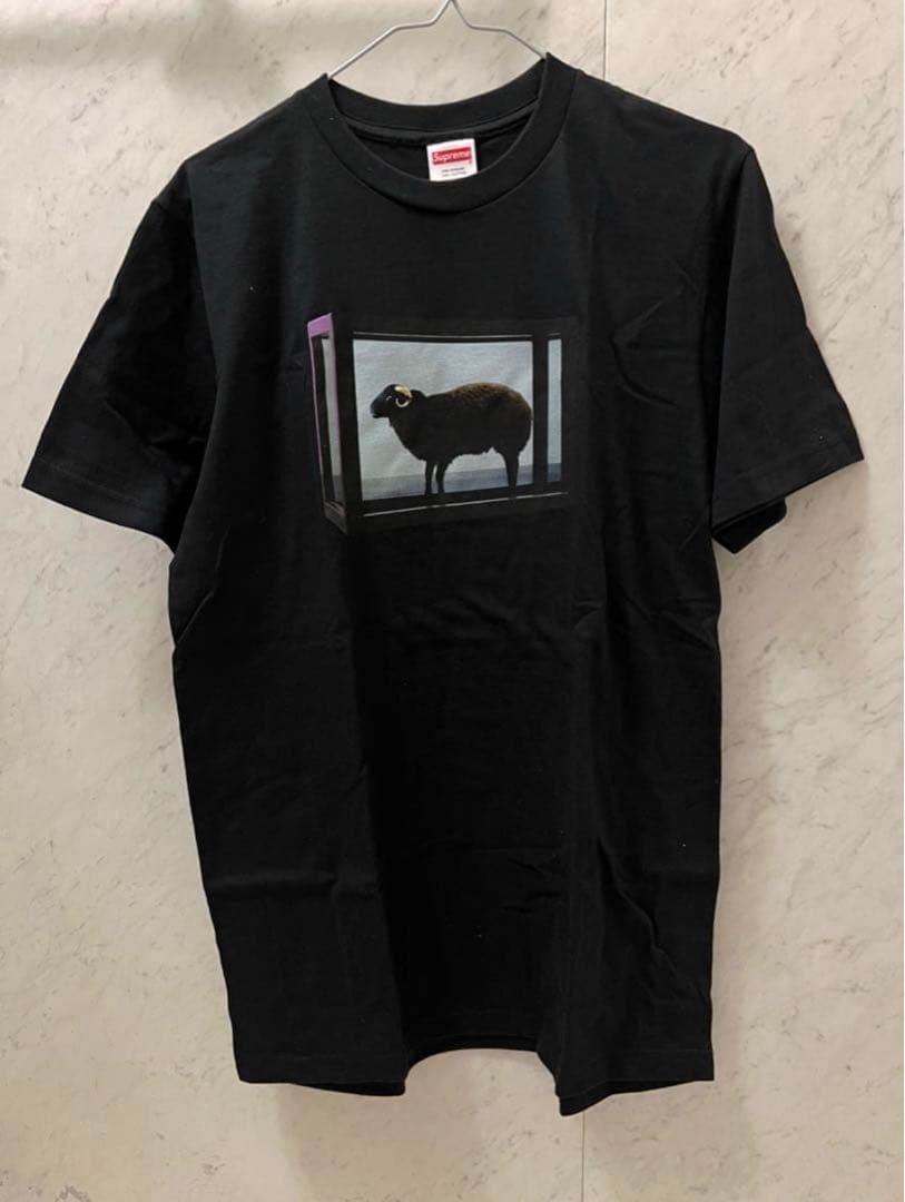 SUPREME 25SS Supreme Damien Hirst Tシャツ