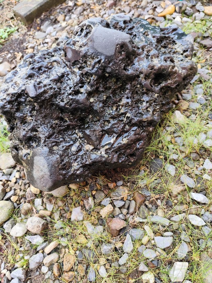千軒石。中型 火山岩 黒色 不規則形状