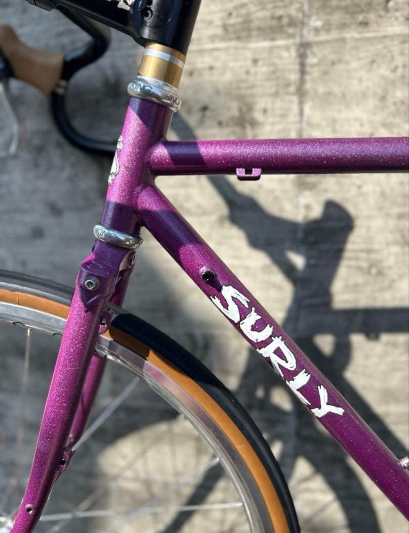 サーリー　ストラグラー　画像のセットプラス　シムワークスタイヤ付き