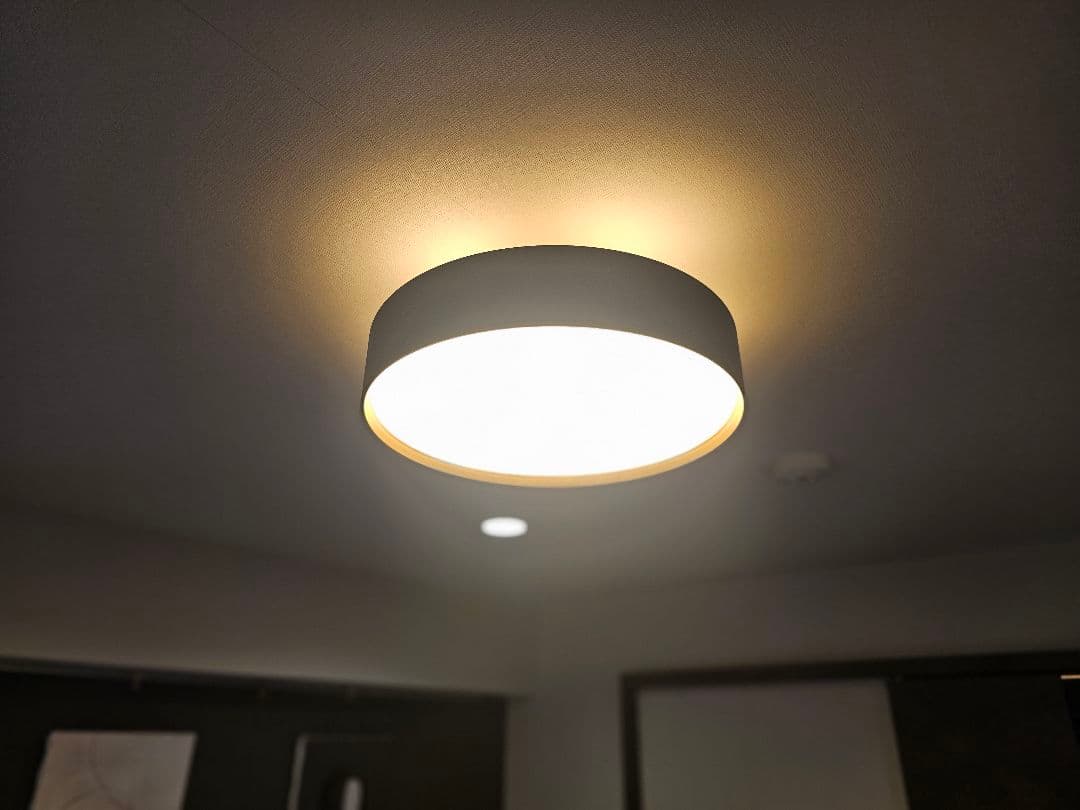 【ネスタ 】ART WORK STUDIO Glow 4000 シーリング