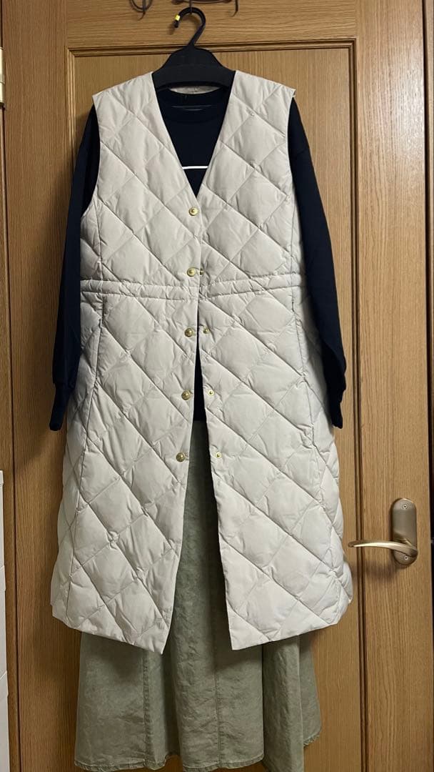 骨*ん様 定価27500円新品‼️【TAION TONAL ダウンベスト LIM