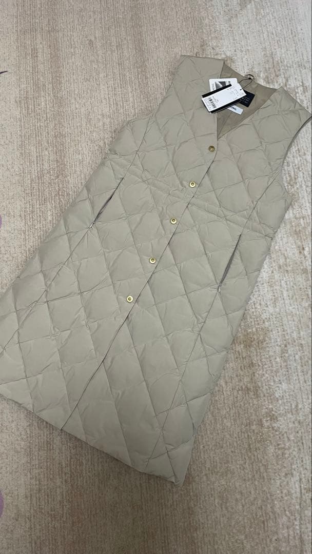 骨*ん様 定価27500円新品‼️【TAION TONAL ダウンベスト LIM