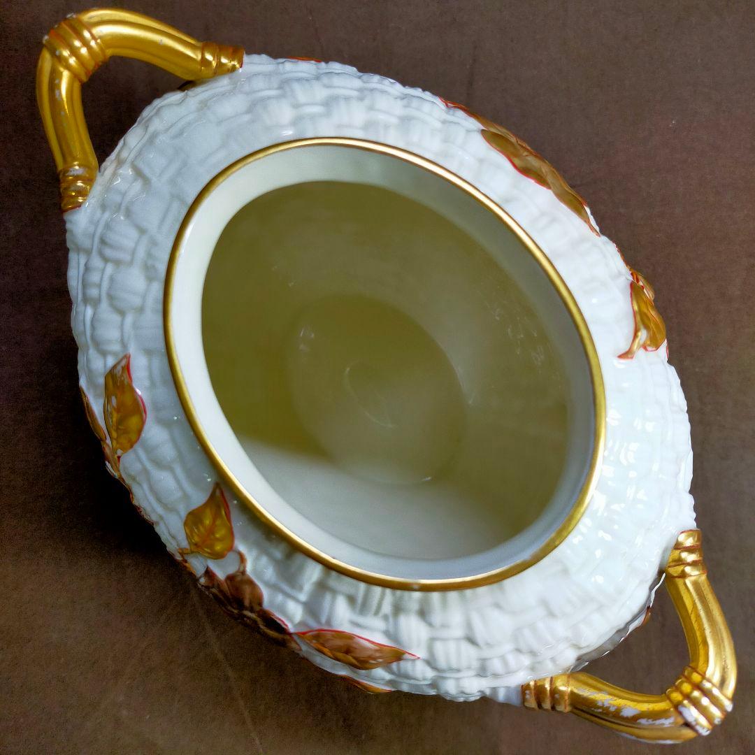  WORCESTER DOGWOOD FLOWER VACE！