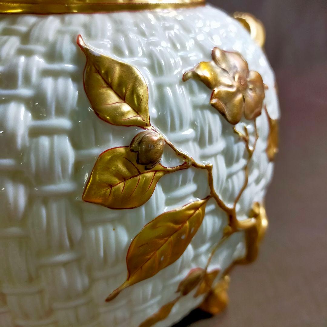  WORCESTER DOGWOOD FLOWER VACE！