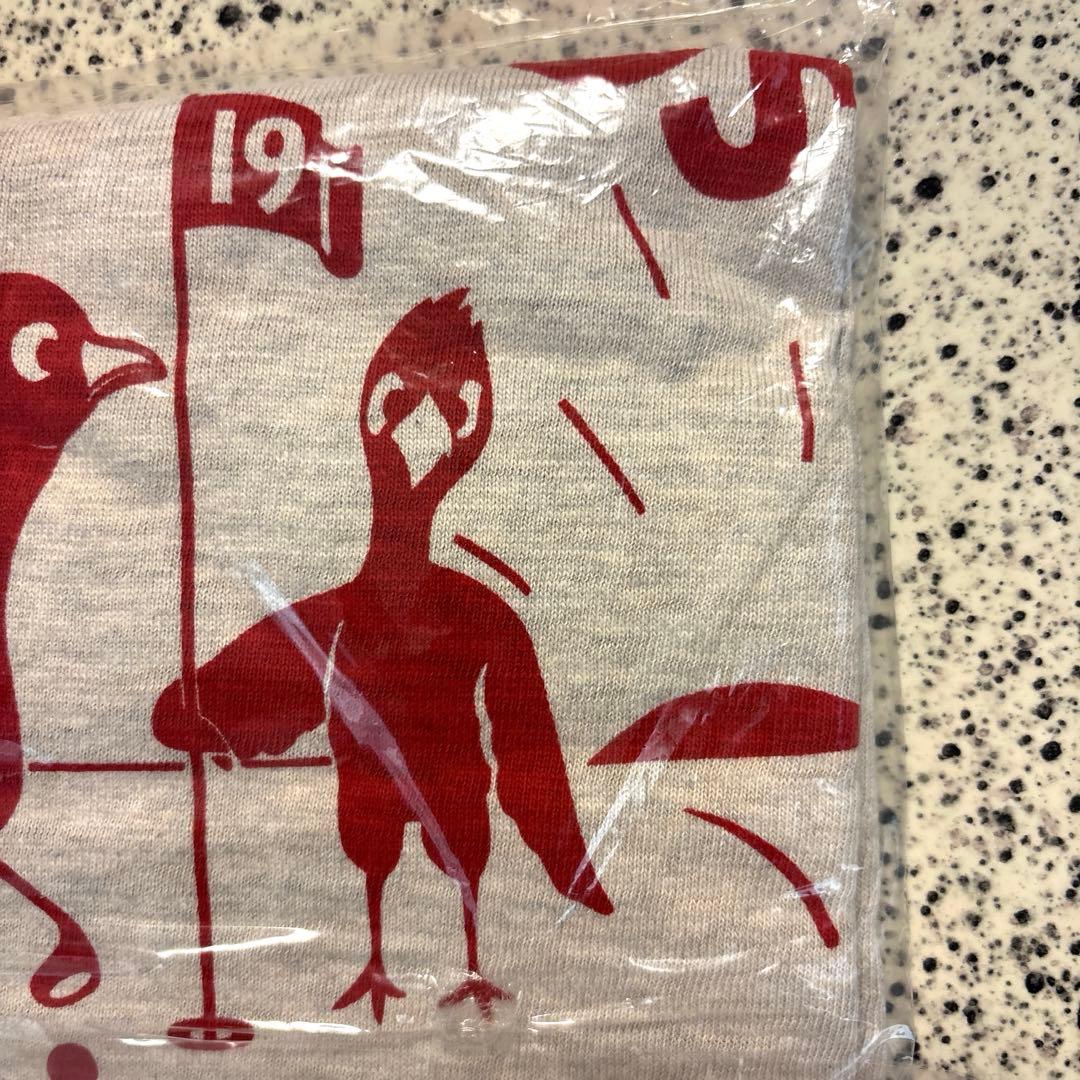 『ウエアハウス４６０１』ＥＡＲＬＹ ＢＩＲＤＳ オートミール Ｌサイズ