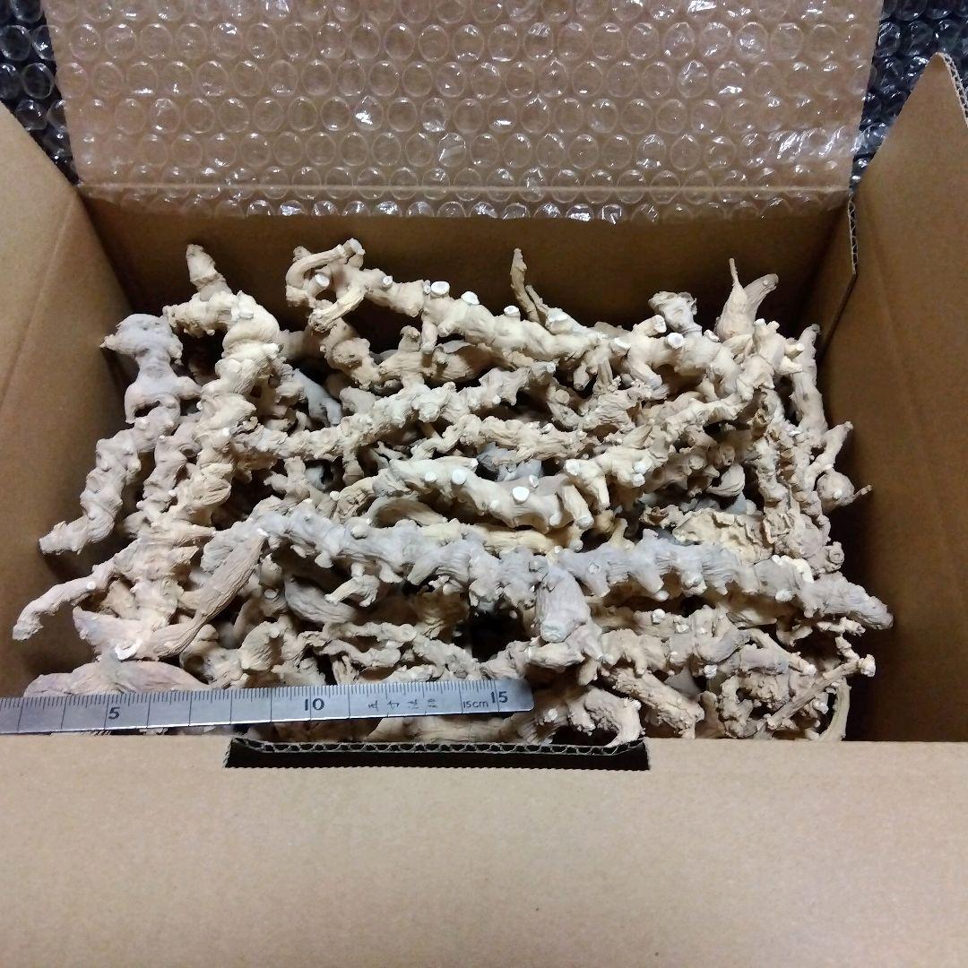 天然トチバニンジン乾燥品チクセツニンジン１０００グラム