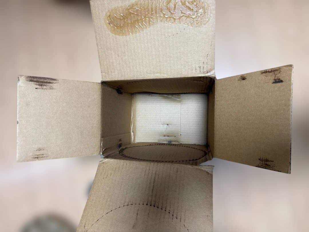 Lodge ダッチオーブン 10インチ　未使用　本2冊付き