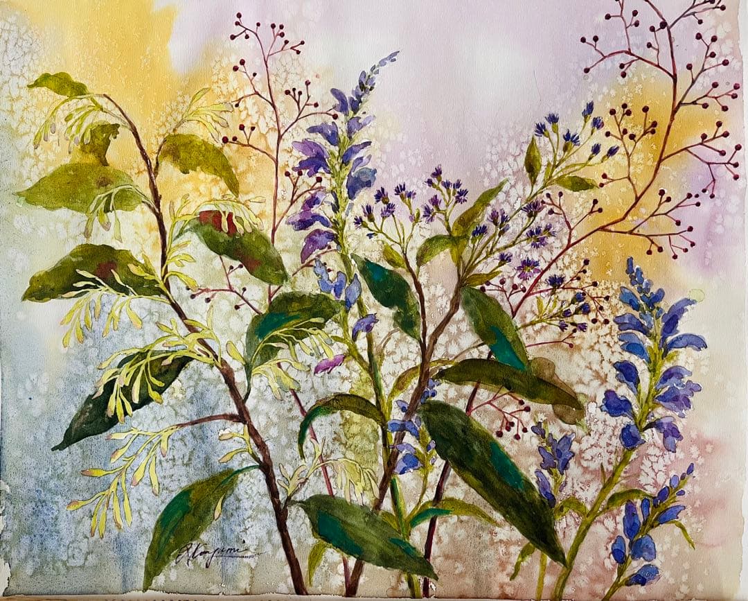 水彩画 ハナトラノオ