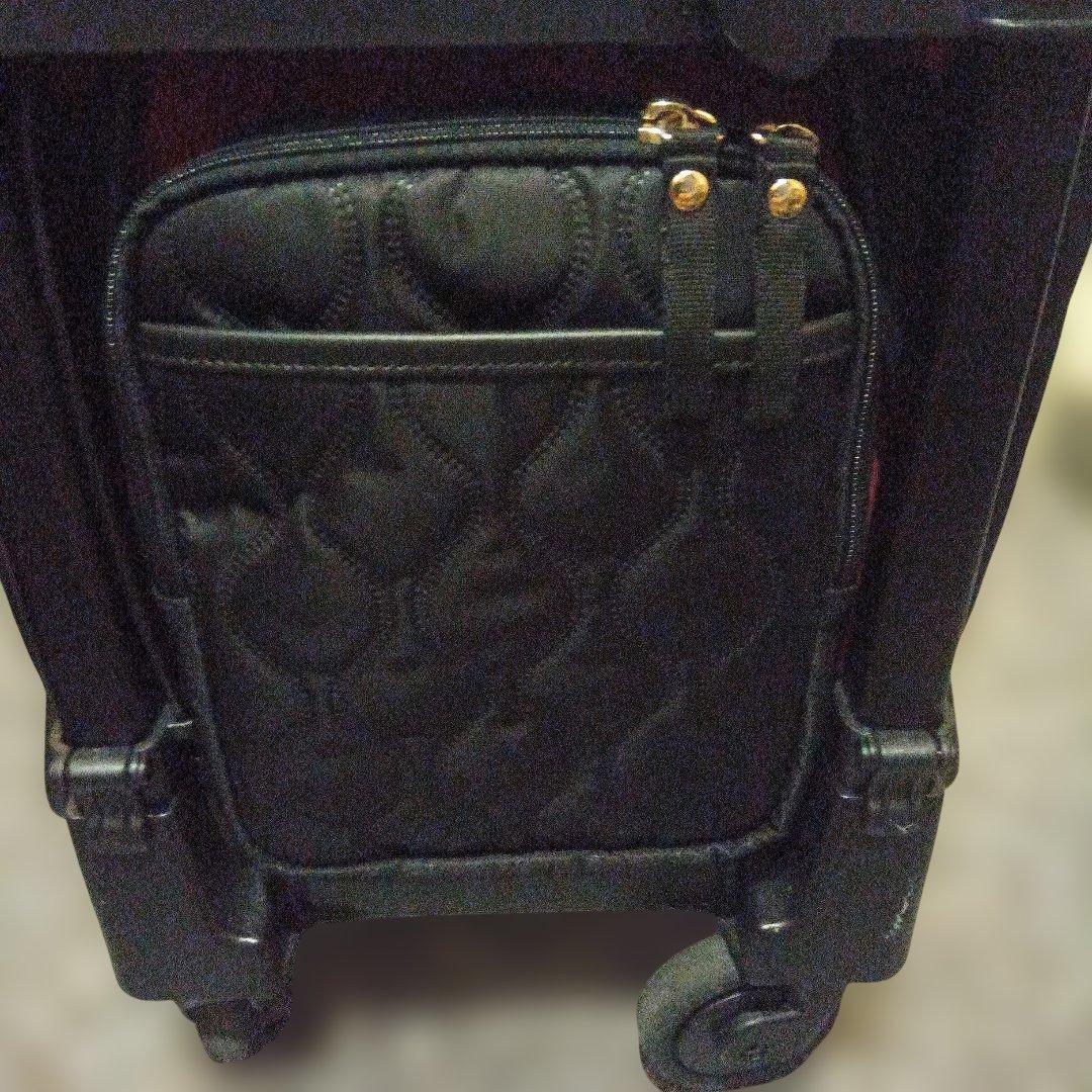 SWANY スワニー　キャリーバッグ D-589 プーフォ M21