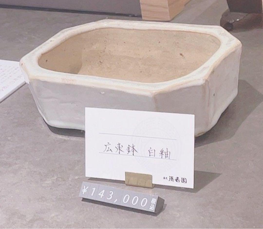 保証付　広東鉢　白釉　盆栽鉢　長方鉢　植木鉢