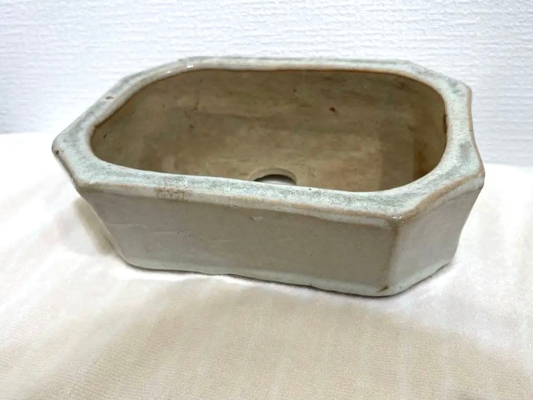 保証付　広東鉢　白釉　盆栽鉢　長方鉢　植木鉢