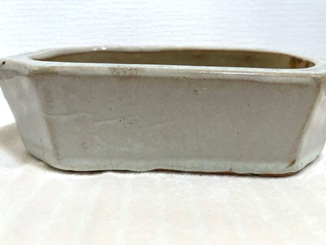 保証付　広東鉢　白釉　盆栽鉢　長方鉢　植木鉢