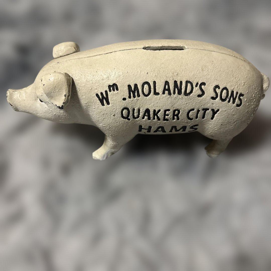 HAMS PIG BANK ハムズ　バンク