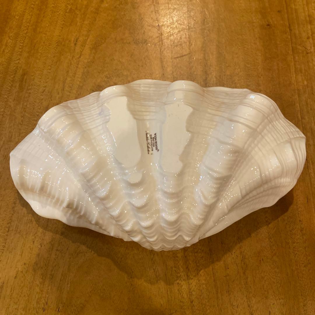  ウェッジウッド シェルプレート プレート