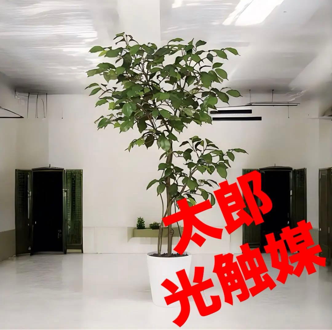 光触媒　人工観葉植物　フェイクグリーン　ベンジャミン FST120