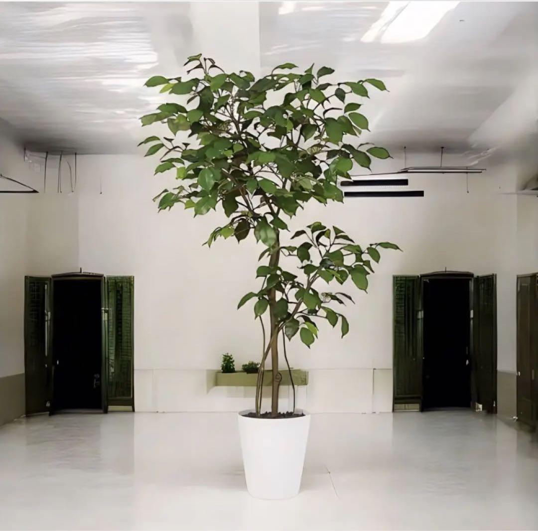 光触媒　人工観葉植物　フェイクグリーン　ベンジャミン FST120