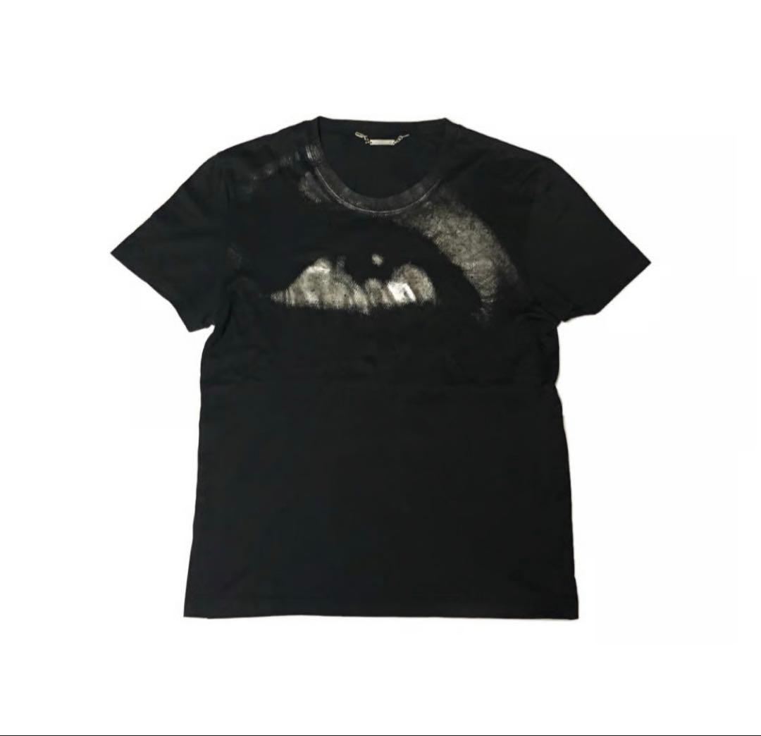 ち*ょ様 04AW VICTIM期 エディ dior homme future