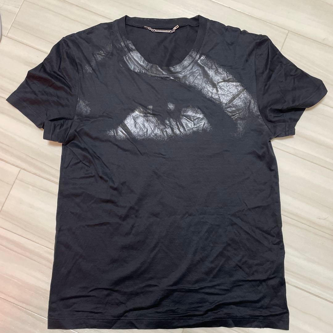 ち*ょ様 04AW VICTIM期 エディ dior homme future