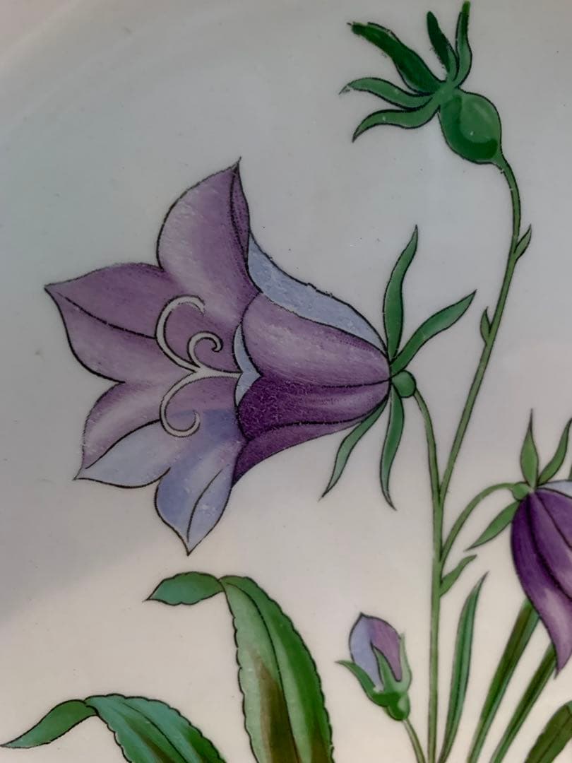 ロールストランド　レアなビンテージの可愛手書きフローラシリーズのお皿2枚セット！