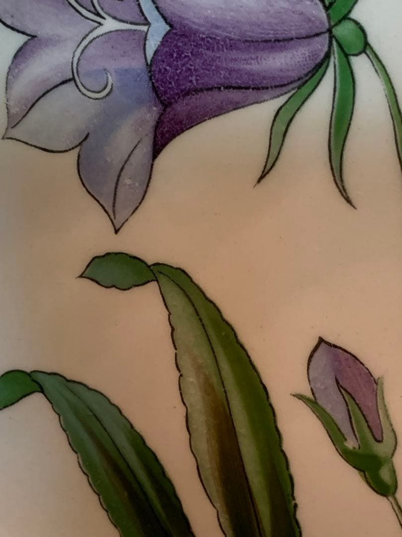 ロールストランド　レアなビンテージの可愛手書きフローラシリーズのお皿2枚セット！