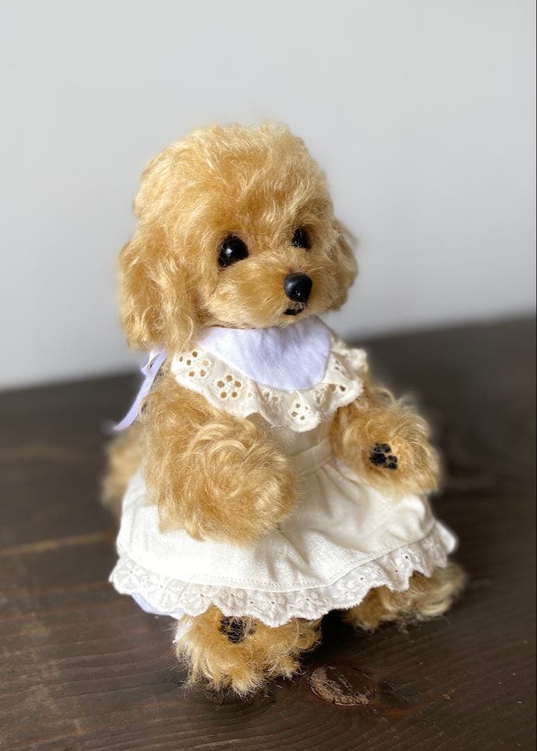 アプリコット　トイプードル