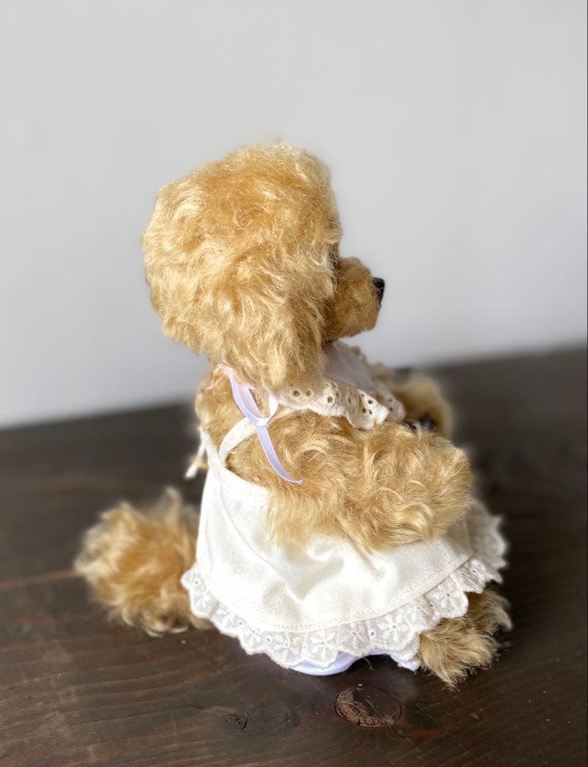 アプリコット　トイプードル