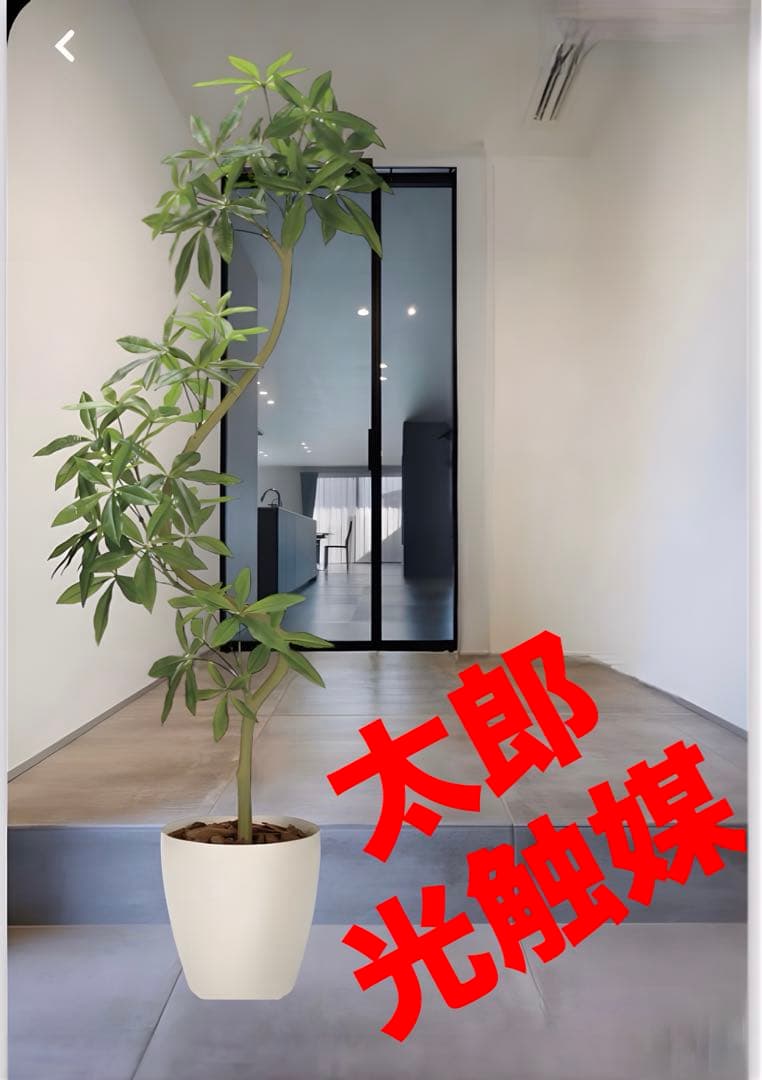 光触媒　人工観葉植物　ウォールグリーン　フェイクグリーン　ツイストパキラ2.1