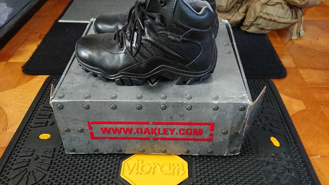 ベイツ bates DELTA6 gore-tex 7EW 25～26㎝