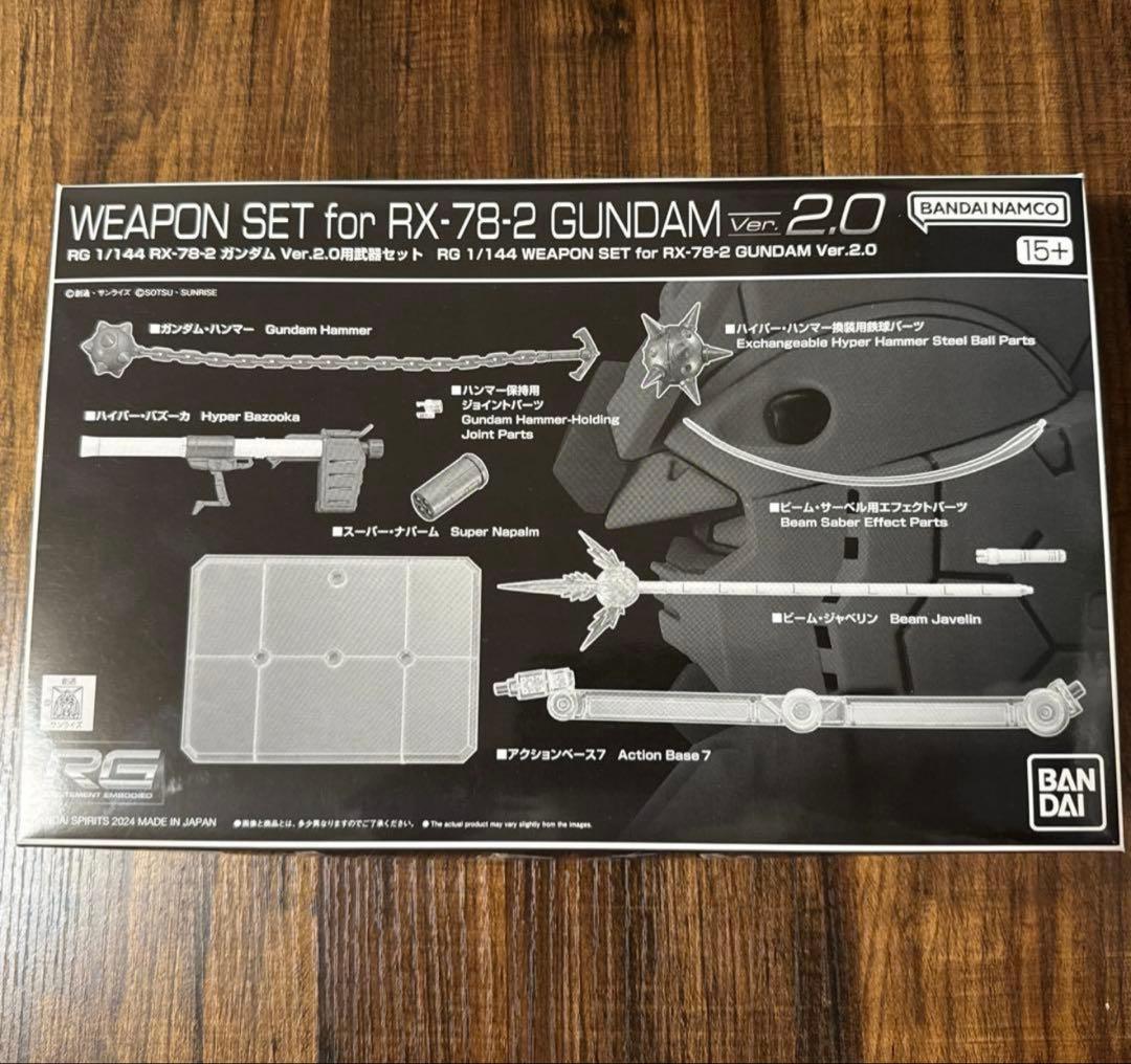 塗装済み 完成品 RG ガンプラ　2体セット